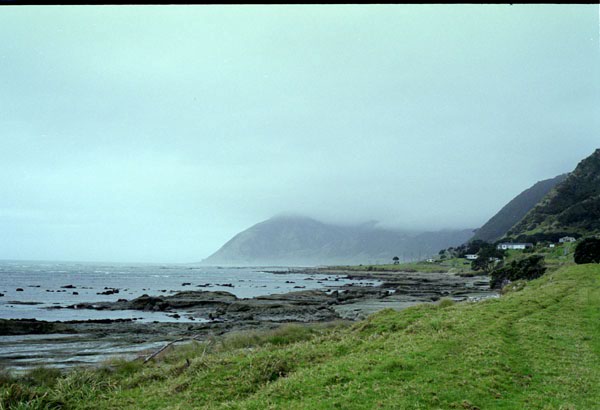 NZ-10-0001