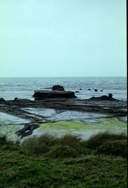 NZ-10-0002