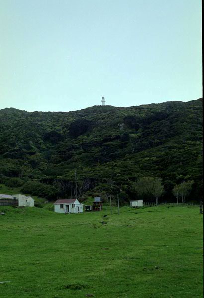 NZ-10-0003