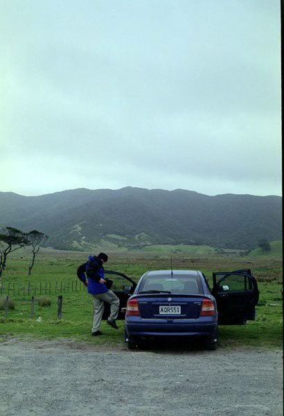 NZ-10-0004