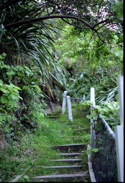 NZ-10-0005