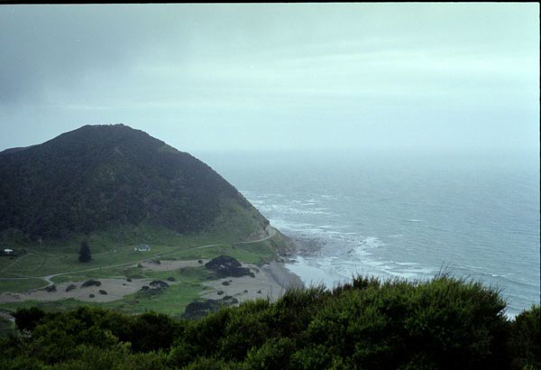 NZ-10-0007