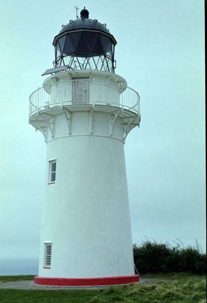 NZ-10-0008