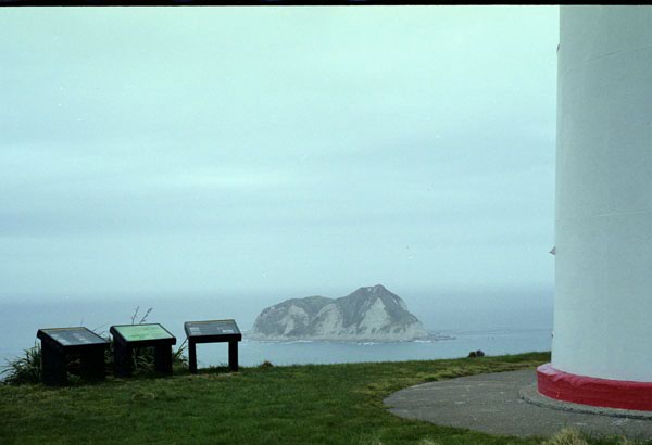 NZ-10-0009