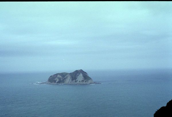 NZ-10-0010