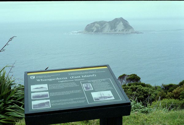 NZ-10-0011