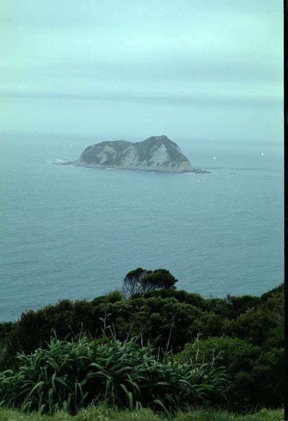 NZ-10-0013