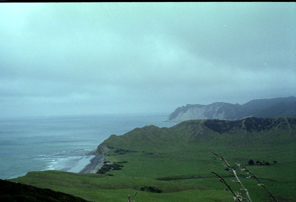 NZ-10-0014