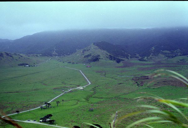 NZ-10-0015
