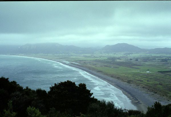 NZ-10-0016