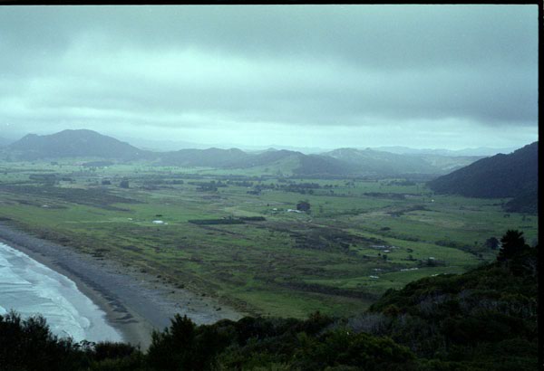 NZ-10-0017