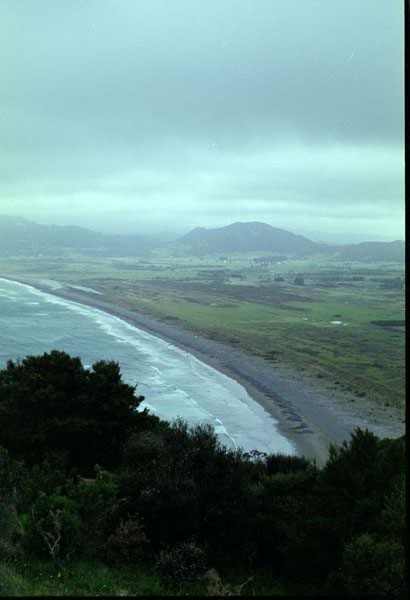 NZ-10-0018