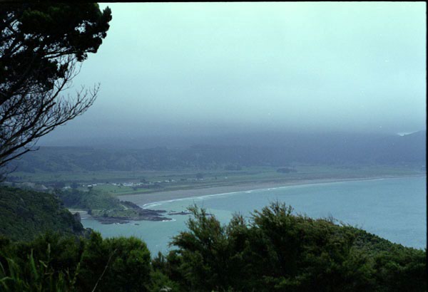 NZ-10-0019