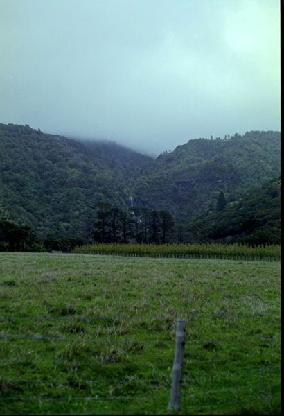NZ-10-0022