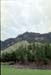 NZ-09-0009