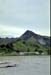 NZ-09-0011