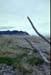 NZ-09-0014