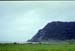NZ-09-0020