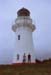 NZ-10-0008B
