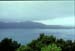 NZ-10-0020