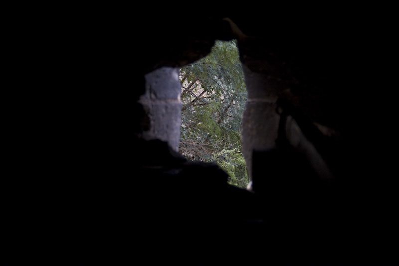 ZIMG_1757
