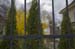 ZIMG_1747