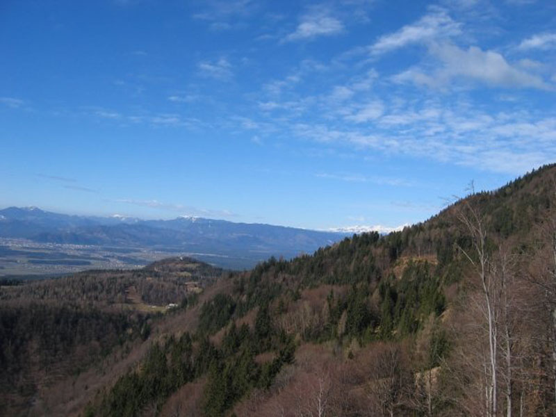 n696951711_658421_2861