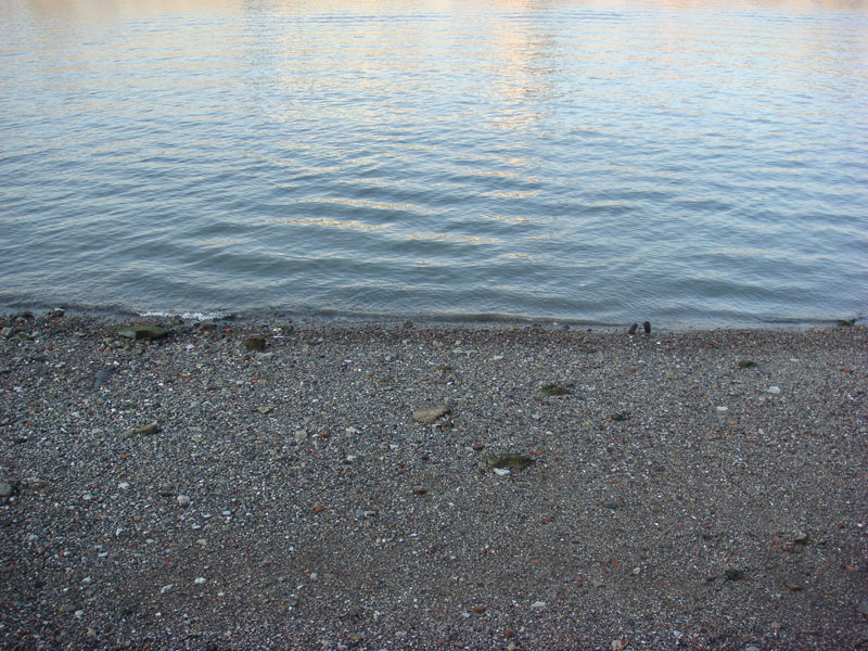 DSC00225